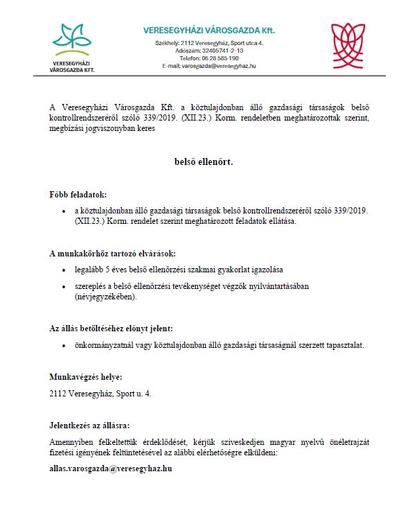 belső ellenőr álláshirdetés